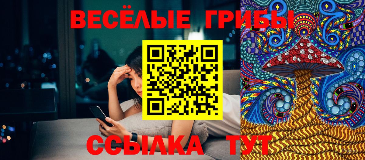 Псилоцибиновые грибы прущие грибы Волжск